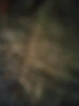 axelongshaft69 online show from 04/07/26, 06:52