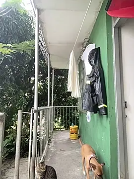 Jestebanano online show from 02/04/26, 07:42