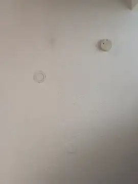 geilerschwanz64 online show from 01/05/25, 12:10