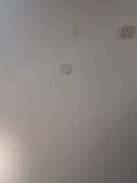 geilerschwanz64 online show from 02/19/25, 07:05