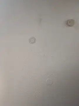 geilerschwanz64 online show from 02/21/25, 08:40