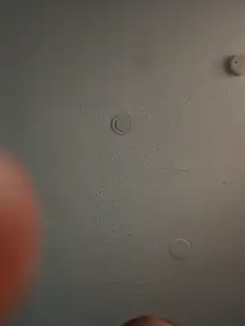 geilerschwanz64 online show from 03/03/25, 05:50