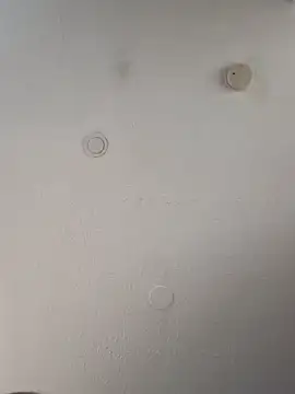 geilerschwanz64 online show from 03/12/25, 11:09