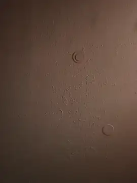 geilerschwanz64 online show from 03/20/25, 11:49