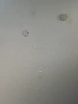 geilerschwanz64 online show from 03/20/25, 10:18