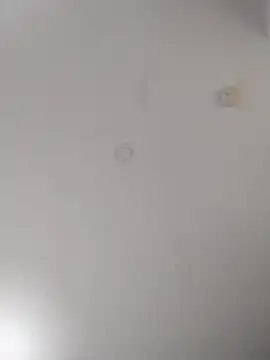 geilerschwanz64 online show from 09/22/25, 07:05