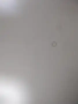 geilerschwanz64 online show from 10/15/25, 09:59