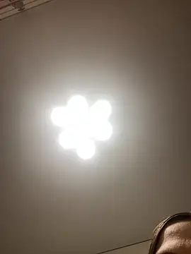 Snapshot of Janet_Welder chatting on 11/16/25, 12:05 Janet Welder online show from 11/16/25, 12:05