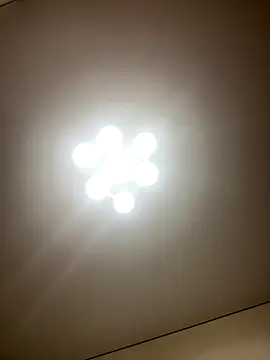 Snapshot of Janet_Welder chatting on 12/05/25, 12:30 Janet Welder online show from 12/05/25, 12:30