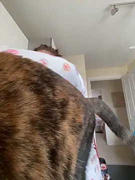 Tallulah-mae-xoxox online show from 04/14/26, 10:21