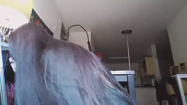 SexiiiMexiii online show from 12/02/24, 06:54