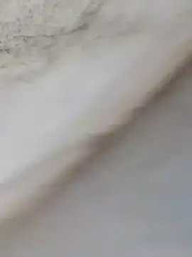 Snapshot of MrNick74 chatting on 12/22/25, 12:24 MrNick74 online show from 12/22/25, 12:24