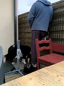 Snapshot of bogland33 chatting on 03/13/25, 10:15 bogland33 online show from 03/13/25, 10:15