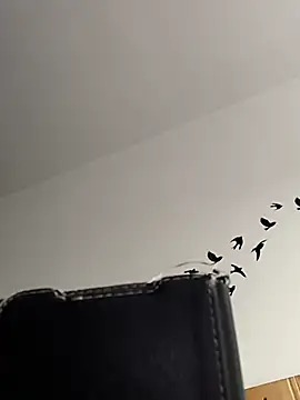 bogland33 online show from 03/05/26, 07:59