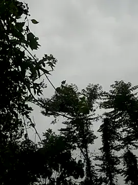 kumaricapalsex2 online show from 01/27/25, 04:20