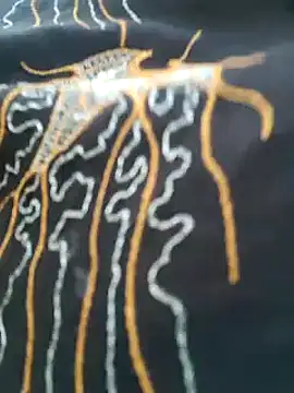 kumaricapalsex2 online show from 02/06/25, 11:43