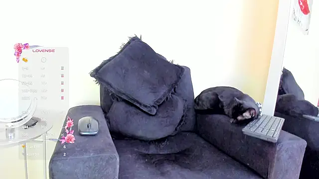 its  angelica  online show from 11/19/25, 07:47