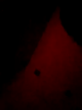 Mieto  online show from 04/17/26, 03:20