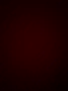 Snapshot of DINA-FOX chatting on 01/30/25, 11:55 DINA-FOX online show from 01/30/25, 11:55