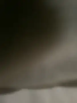 Snapshot of DINA-FOX chatting on 02/01/25, 02:02 DINA-FOX online show from 02/01/25, 02:02