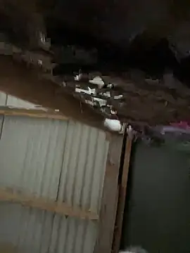 Snapshot of Masked-Minx-Mia chatting on 12/06/24, 03:22 Masked-Minx-Mia online show from 12/06/24, 03:22