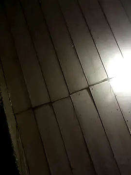 Snapshot of Elvishcassie_ chatting on 03/14/25, 08:28 Elvishcassie  online show from 03/14/25, 08:28