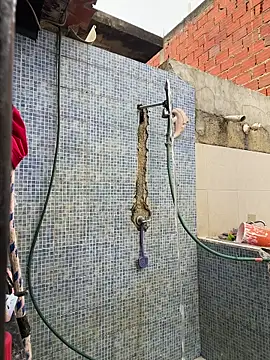 Leo bunny hot online show from 11/30/25, 08:46