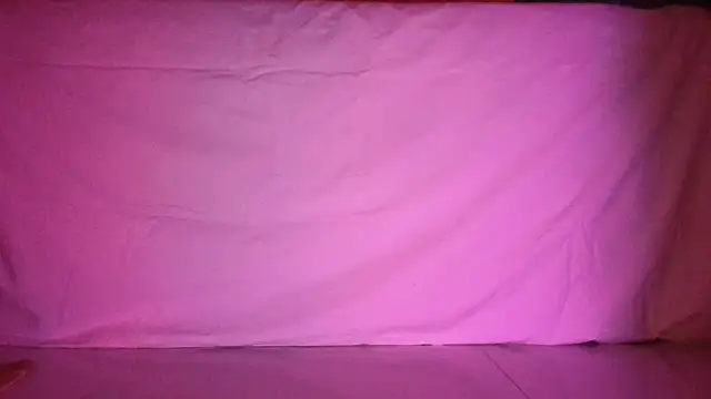 Reneta Rebekka Lopez online show from 04/16/26, 05:36