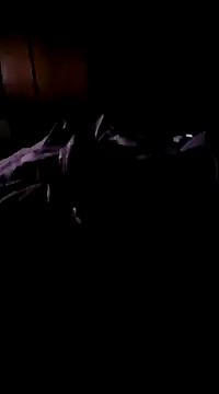 Imthegoattt online show from 12/12/24, 11:47