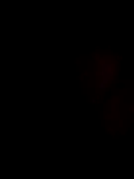 Snapshot of stevenp chatting on 11/02/25, 07:22 stevenp online show from 11/02/25, 07:22