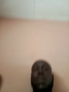 Landlordlandlord12 online show from 03/25/26, 02:34