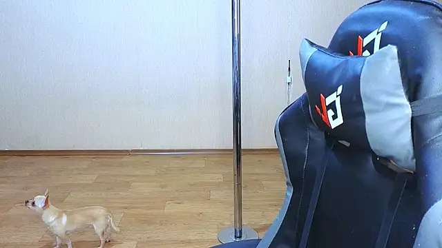 doll barbieee online show from 03/09/25, 05:06