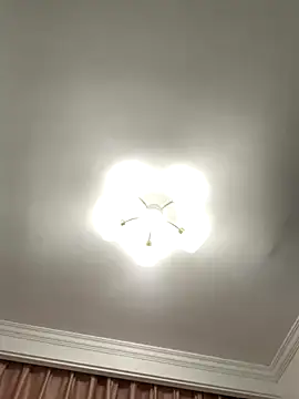 Snapshot of Aimeil chatting on 11/27/25, 07:05 Aimeil online show from 11/27/25, 07:05