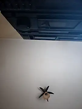 vulpe8400 online show from 04/08/26, 10:10