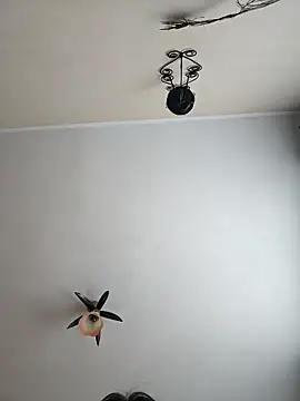 vulpe8400 online show from 04/18/26, 09:02