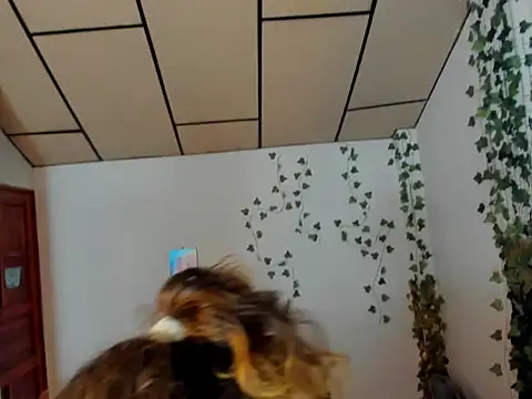 fulfill fantasies1 online show from 02/17/26, 12:56