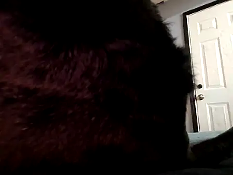 Snapshot of DevinToore chatting on 10/29/25, 03:31 DevinToore online show from 10/29/25, 03:31