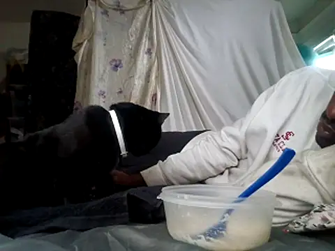 Snapshot of DevinToore chatting on 12/15/25, 06:01 DevinToore online show from 12/15/25, 06:01