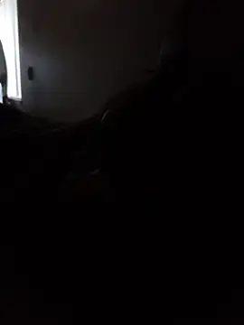 Snapshot of DevinToore chatting on 02/05/26, 11:20 DevinToore online show from 02/05/26, 11:20