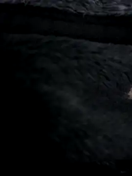 MetalJoint2 online show from 11/30/25, 03:32