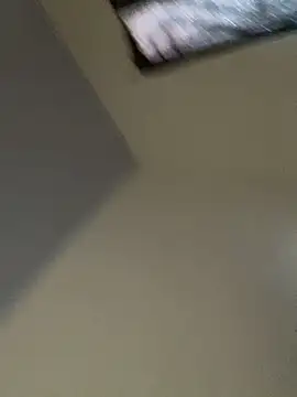 Carolinen online show from 03/04/26, 07:42