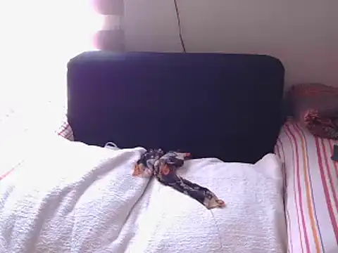 Mollybrookexx online show from 12/11/24, 08:04