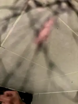 Snapshot of lescro95_ chatting on 12/02/25, 05:41 lescro95 online show from 12/02/25, 05:41