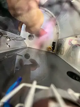 lescro95  online show from 04/06/26, 02:29