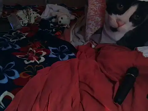 VeneRed online show from 03/08/26, 06:55