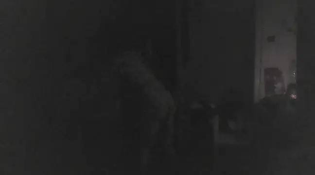 Snapshot of Just_Gabriella chatting on 03/17/25, 01:18 Just Gabriella online show from 03/17/25, 01:18