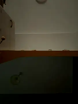 Lecatore80 online show from 11/09/25, 07:50