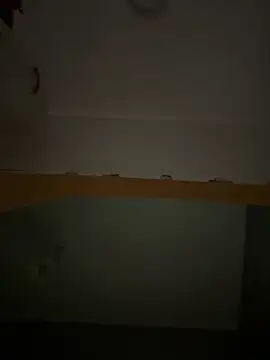 Lecatore80 online show from 11/16/25, 09:04