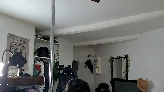 Snapshot of CeriseLapine chatting on 11/16/25, 10:32 CeriseLapine online show from 11/16/25, 10:32