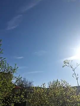 Snapshot of CeriseLapine chatting on 03/28/26, 07:41 CeriseLapine online show from 03/28/26, 07:41